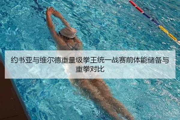 约书亚与维尔德重量级拳王统一战赛前体能储备与重拳对比